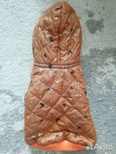 Осенне-зимняя куртка с капюшоном для питомца