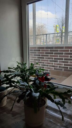 Помещение 100кв.м