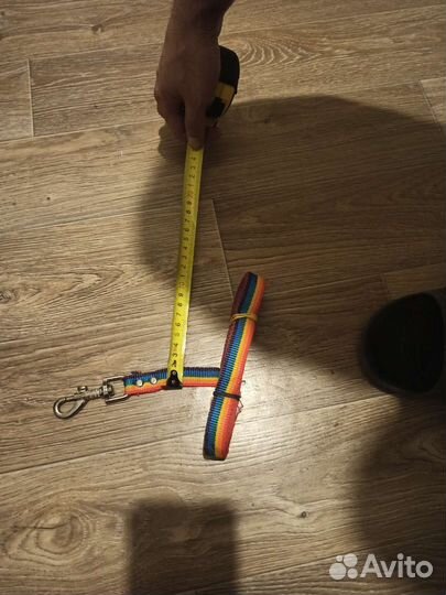 Поводоки цветные, шлейка с поводком