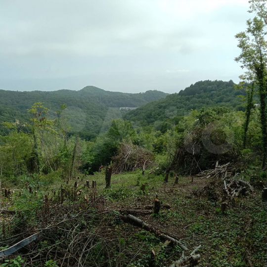 Участок 18 сот. (СНТ, ДНП)