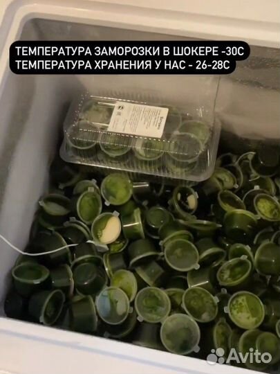 Витграсс