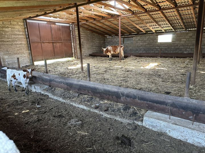 Участок 1,5 га (ИЖС)