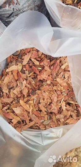 Кора байкальской лиственницы