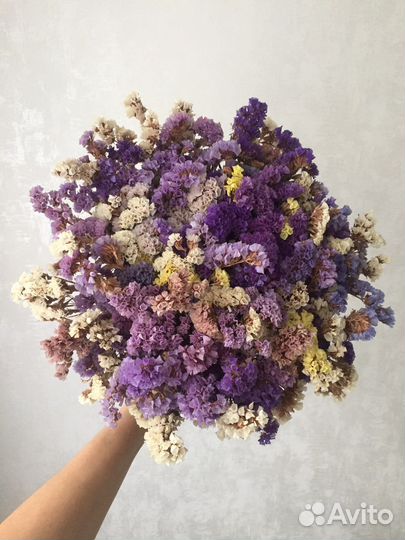 Букет из сухоцветов