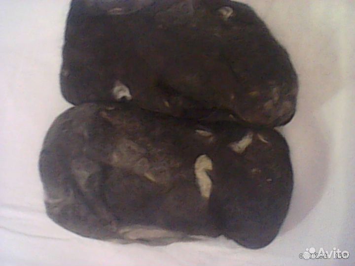 Шерсть собачья\\Цена за 100 грамм\\Всего 1286грамм