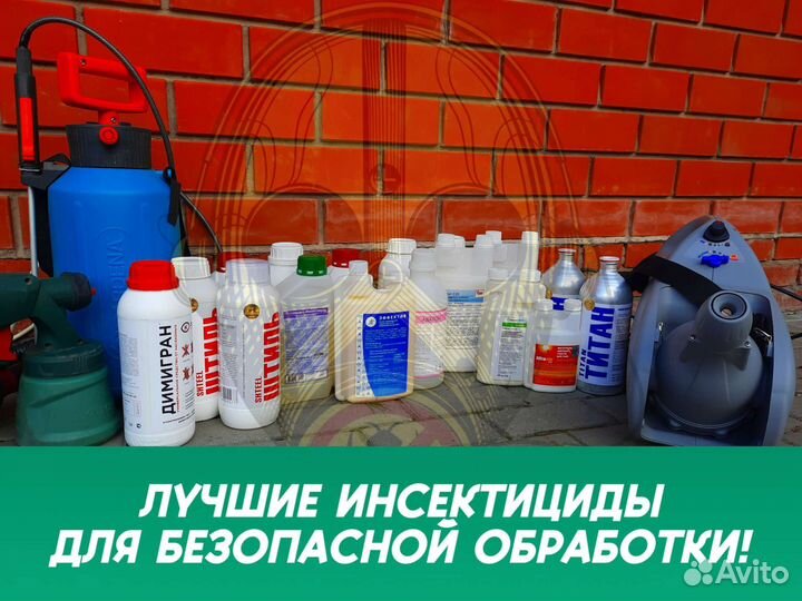 Дезинфекция