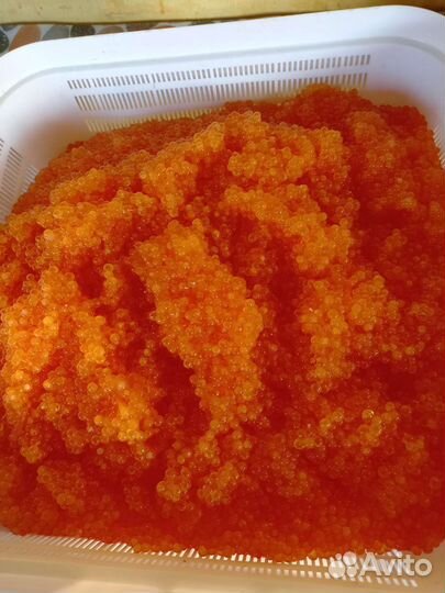 Красная икра 2024