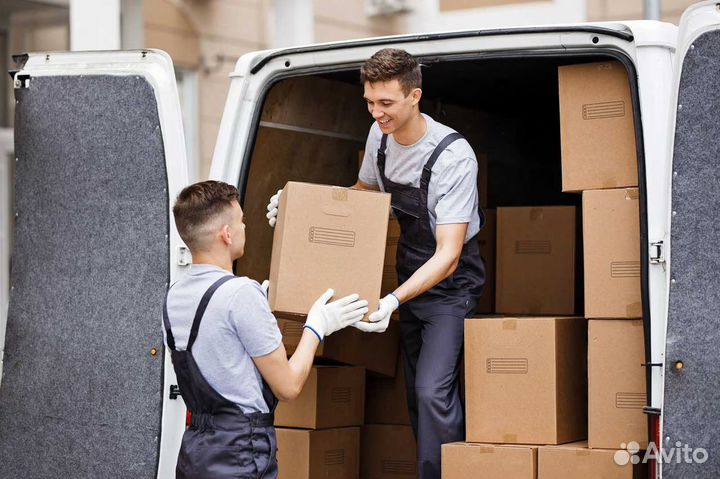 Грузчики Грузоперевозки Переезды Разнорабочие