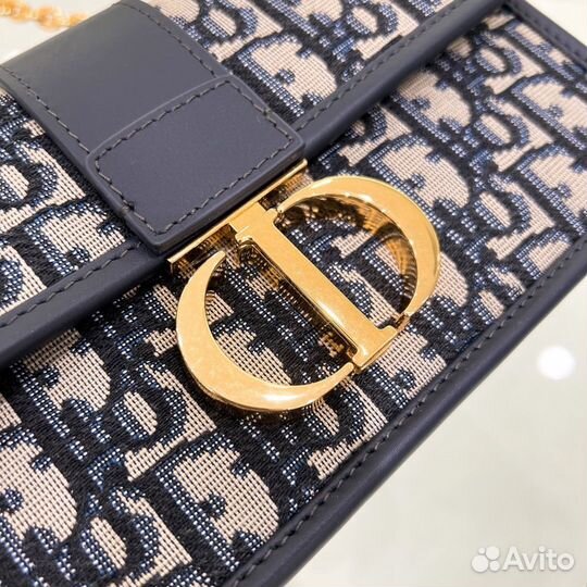 Сумка Christian Dior 30 Montage Oblique