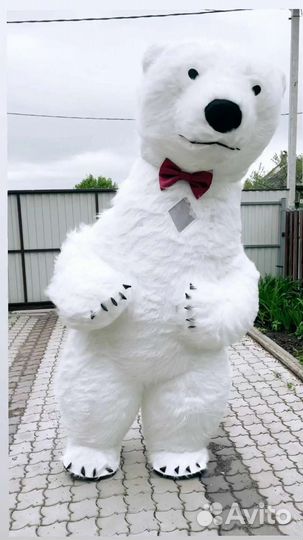 Поздравление от белый мишки