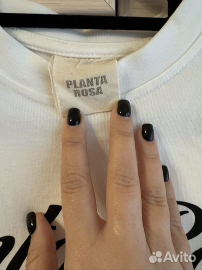 Planta rosa футболка