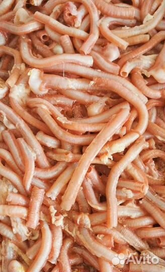 Мясо для собак утиное