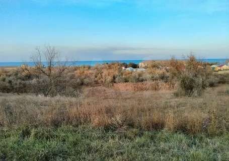 Участок 10 сот. (СНТ, ДНП)