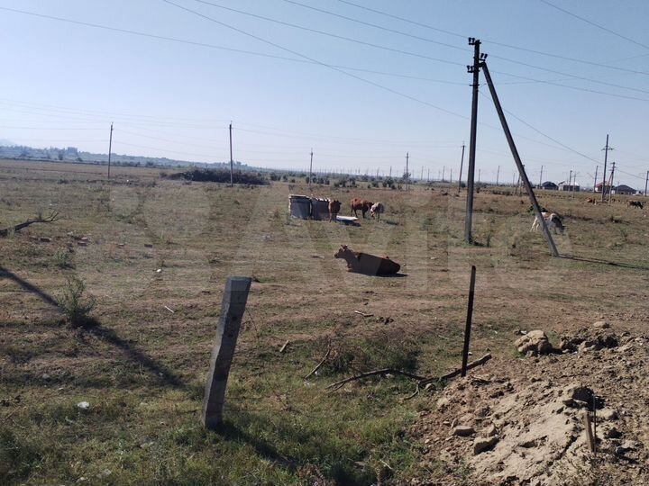 Участок 6 га (ИЖС)