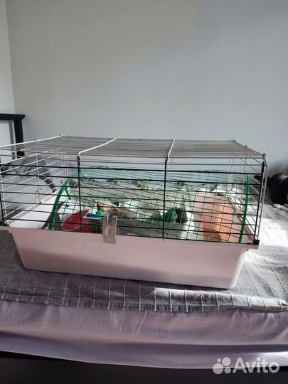 Клетка для грызунов