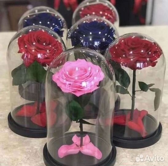 Роза в колбе. Неувядающая