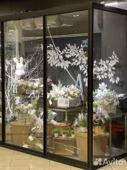 Невероятная лаванда