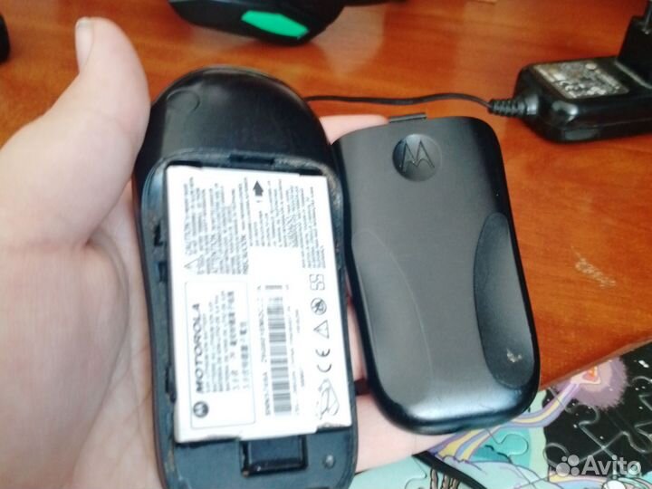 Матаролла головастик