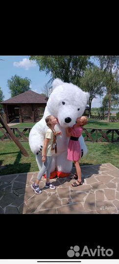 Белый мишка, Панда,Александр Ревва поздравление