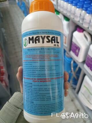 Агростим Maysal