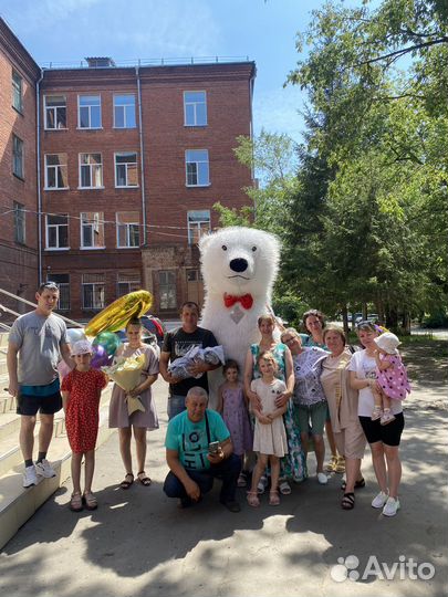 Белый мишка поздравление