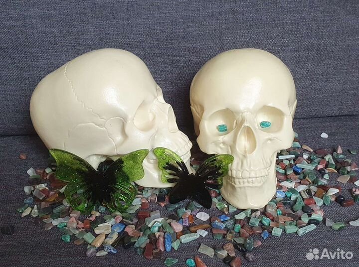 Череп. Пластик