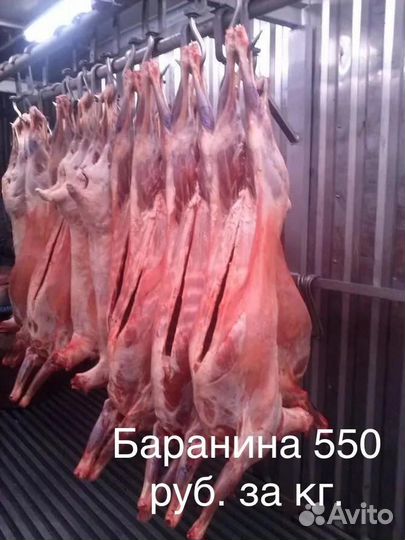 Бранина мясо