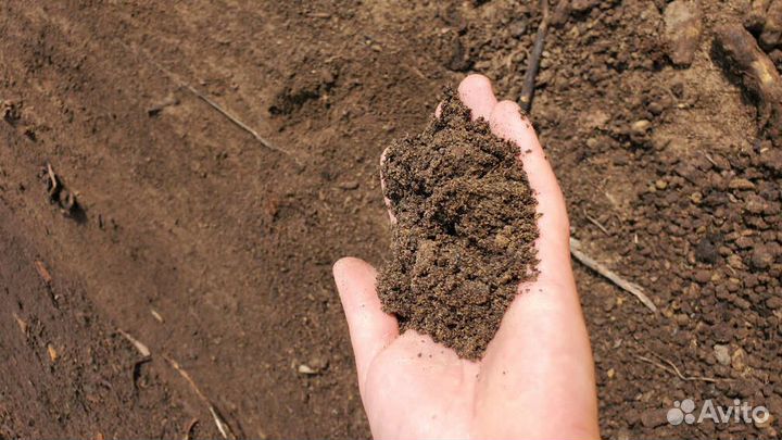Земля садовая