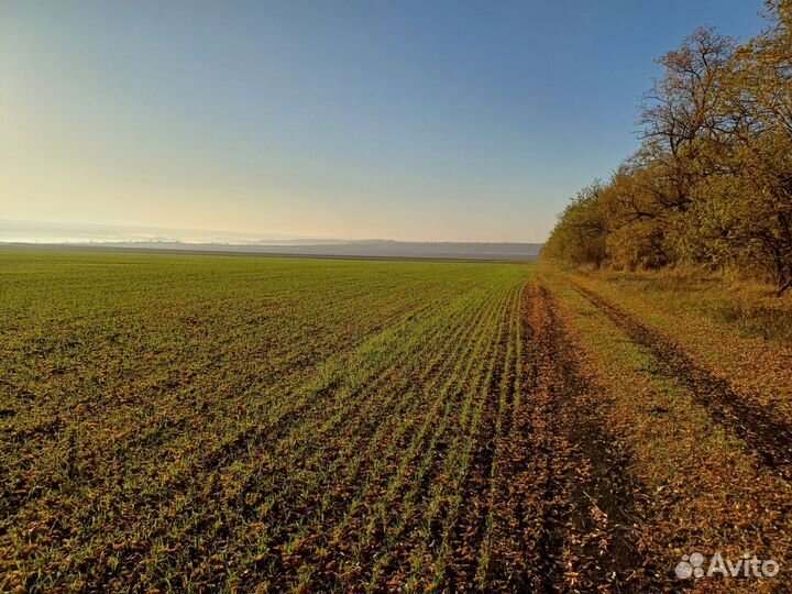 Готовый бизнес и оборудование
