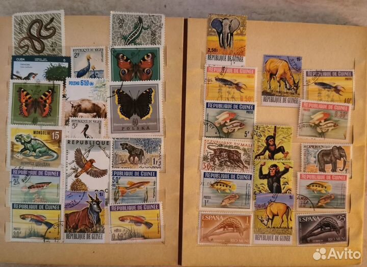 Почтовые марки СССР и иностранные Животные