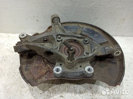 Кулак задний левый