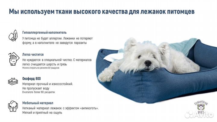 Дизайнер презентаций