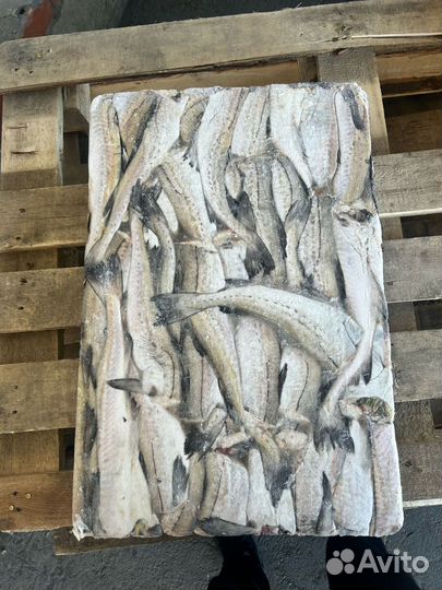 Филе минтая, минтай