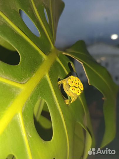 Украшения из эпоксидной смолы