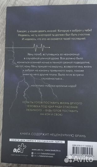 Жуткая история кот