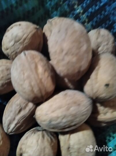 Продам саженцы грецких орехов и плоды
