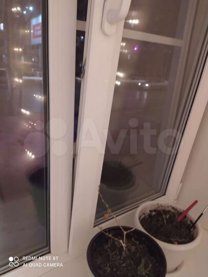 3-к. квартира, 51,5 м², 1/2 эт.