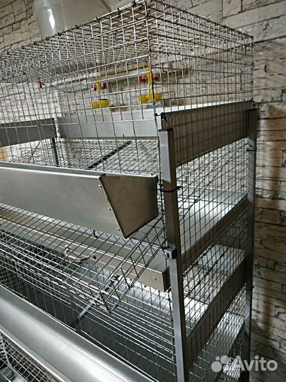 Клетка для кур несушек