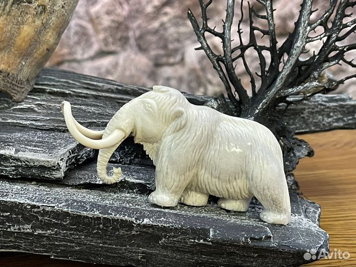 Палеонтология. Авторская работа. Зуб мамонта