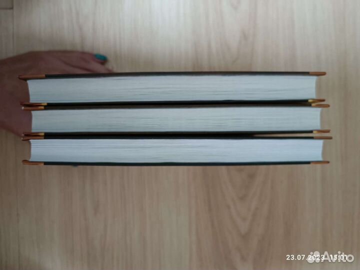 Книги серии Коты Воители