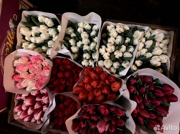 Тюльпаны опт разные цвета