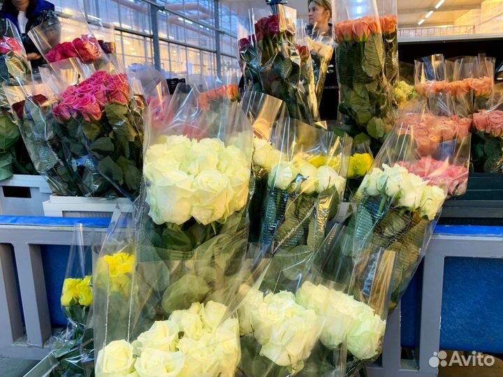 Цветы из теплицы Самые свежие