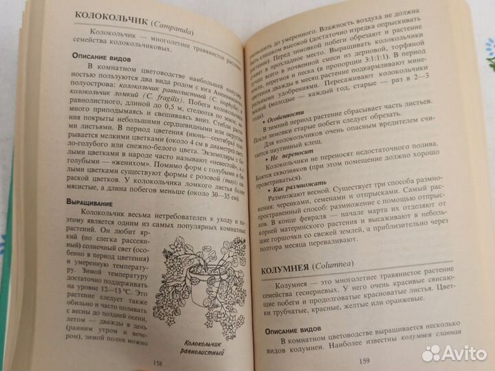 Д. М. Бабин Мир комнатных цветов 1999