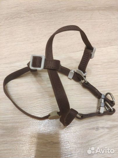 Уздечка ошейник для кролика