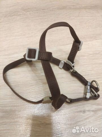 Уздечка ошейник для кролика