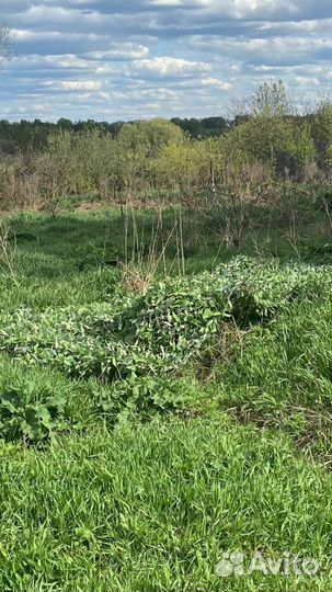 Спанбонд двухсторонний для масксетей