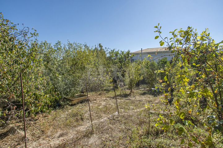 Участок 8,1 сот. (СНТ, ДНП)