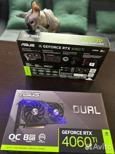 Видеокарта asus GeForce RTX 4060 Ti dual OC