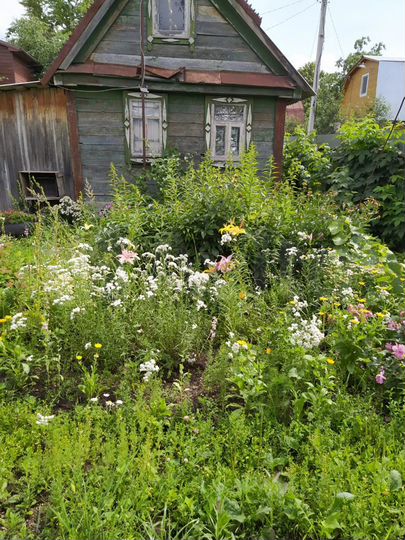 Дача 20 м² на участке 6 сот.