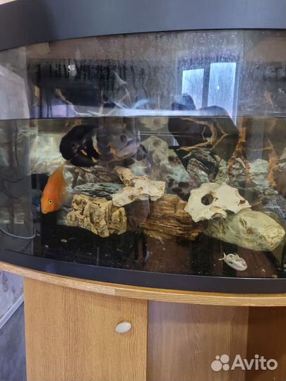 Аквариум с тумбой